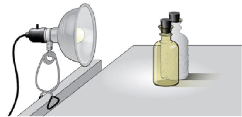 测量氧气的光明与黑暗瓶法生产