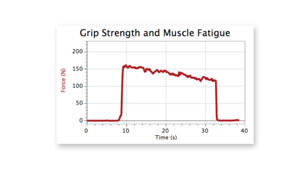 握力和肌肉疲劳